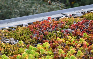 the cost of Deneside green roof installation