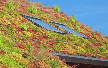 Deneside living roof systems